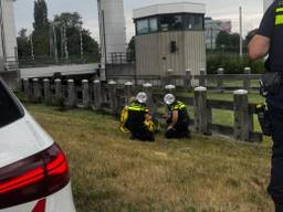 Foto: Instagram wijkagenten Helmond binnenstad.