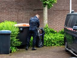 https://api.omroepbrabant.nl/img/f/$width$/$height$/0.56/0.6/bWVkaWEvcHJvZC80NDc3MTc1LmpwZz9zdj0yMDE5LTA3LTA3JnN0PTIwMjAtMDEtMDFUMDAlM0EwMCUzQTAwWiZzZT0yMDQwLTAxLTAxVDAwJTNBMDAlM0EwMFomc3I9YiZzcD1yJnNpZz0wNlZMJTJGRUpqJTJCVlRibWRiJTJCZXhYbTI5TjVkZHptazFlVWxnRkFWZyUyQnpuUEklM0Q=