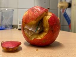 De gevonden appel (foto: PI Vught).