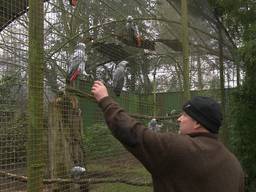 Zoo Veldhoven te koop, dit krijg je voor vijf miljoen euro