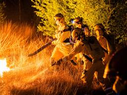 De handcrew uit Overijssel in actie op de Deurnese Peel (foto: SQ Vision/Sem van Rijssel).