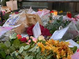 Bloemen op de herdenkingsplek voor Hebe en Sanne (archieffoto: Jan Peels)