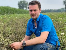 Daan Janssen verloor 75 hectare aan gewas door overstroming. (foto: Jos Verkuijlen)