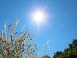 De brandende zon (foto: Jolanda Pelkmans).