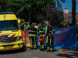 De vrouw overleed te plekke (foto: Marcel van Dorst / SQ Vision).