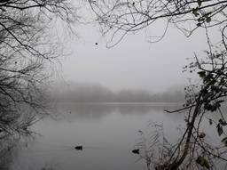 Breda in de mist (archieffoto: Anja Bastiaansen).