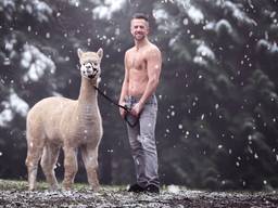 Pim Laros uit Boxmeer is Mister December op de Alpaca en Hunk kalender (foto: Alpha Farm Rouveen).