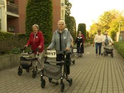 Deelnemers aan de rollatorloop in Zundert (foto: Raoul Cartens).