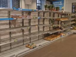 https://api.omroepbrabant.nl/img/f/$width$/$height$/0.6/0.33/bWVkaWEvcHJvZC80MjcxNjEwLmpwZz9zdj0yMDE5LTA3LTA3JnN0PTIwMjAtMDEtMDFUMDAlM0EwMCUzQTAwWiZzZT0yMDQwLTAxLTAxVDAwJTNBMDAlM0EwMFomc3I9YiZzcD1yJnNpZz15eGhYdzFGbFpIRHdhJTJGVXc5R2tUNHlIOE5JNkElMkJvRk10TGkzN0UyYVY1NCUzRA==