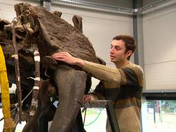 student Tom ontdekt mogelijk een nieuwe dinosaurus