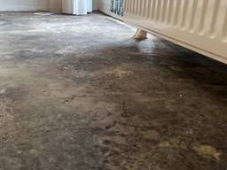 Schimmelplekken op de vloer van de woning (foto: Omroep Brabant).