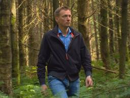 Harrie van Puijenbroek wandelt door het bos van landgoed Gorp en Rovert.