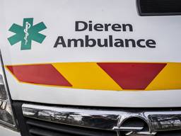 Dierenambulance