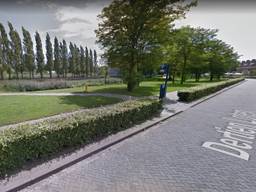 Het Westerpark in Den Bosch (afbeelding: Google Streetview).