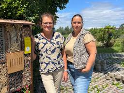 Astrid en Marjolein brengen Doeveren samen met insectenhotels (foto: Megan Hanegraaf).