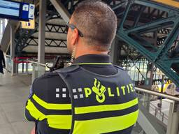 Agent bekijkt afwijkend gedrag op het station in Den Bosch (foto: Noël van Hooft).