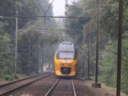 Bij Vught viel een boom op het spoor, geen treinen tussen Tilburg en Den Bosch