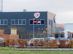 Archieffoto: Gijs Franken