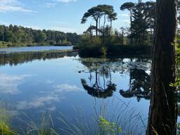 Natuurgebied Oisterwijkse bossen en vennen (foto Frans Kapteijns).