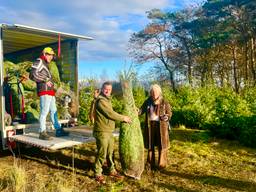 375 kerstbomen voor arme gezinnen, Staatsbosbeheer speelt voor Kerstman