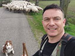 Willem de Kort met zijn kudde schapen (eigen foto).