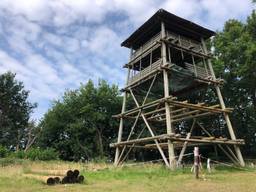 De uitkijktoren kan binnenkort weer beklommen worden (foto: Erik de Jonge).