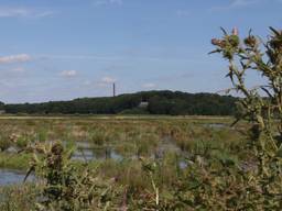 De Brabantse Wal gezien vanuit de Noordpolder in Ossendrecht.