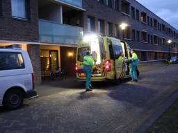 Drie jongens zijn zondagmiddag rond vijf uur een flat aan het Architect Aartsplein in Rijen binnengedrongen en hebben een bewoner mishandeld (Foto: SQ Vision Mediaprodukties)