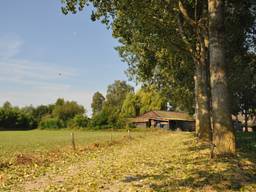 Het was de warmste 10 augustus in Brabant sinds het begin van de metingen (foto: Ben Saanen).