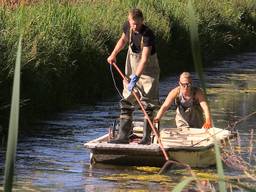 Jan-Peter en Martijn scheppen de vissen uit de beek (foto: Tessel Linders).