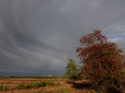 Het sombere weer van deze week houdt aan (foto: Ben Saanen).