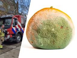 Foto's: Brandweer Made (links), mandarijn is niet de mandarijn die gevonden is (foto: Freepik).