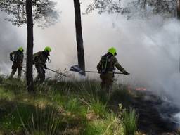 Brandweerwagens reden zich vast in het zand in het bosgebied bij Budel.