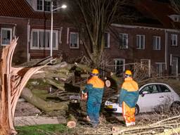 Samenvatting: storm Eunice raast over Brabant