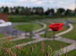 Het Nationaal Monument in Vijfhuizen (foto: Ferenc Triki)