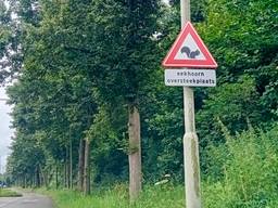 Dit waarschuwingsbord aan de Willem Dreesweg in Roosendaal is gestolen (foto: Omroep Brabant).