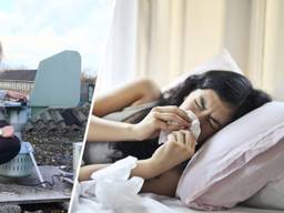 Mieke Koenders en haar collega's meten de pollen met speciale apparatuur van Elkerliek (foto rechts: Pexels).