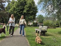 Nicole (links) en Ingrid met hun honden, in het beoogde parkje in Nieuwendijk (foto: Niek de Bruijn).