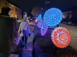 Een wandeltocht door Almkerk leidt bezoekers langs twintig verlichte kunstwerken (foto: Niek de Bruijn)