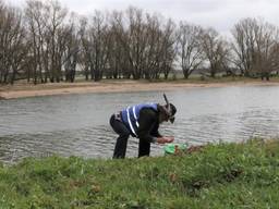 Jos Korthout raapt plastic langs de Afgedamde Maas bij Woudrichem.