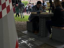 Schaken op de grens