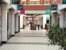 De helft van de panden in winkelcentrum Arendshof staat momenteel leeg.  