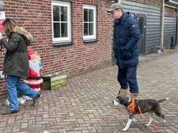 Honden ontvluchten vuurwerk in dierenpensions: 'Al maanden volgeboekt'