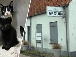 Rechts: Arduin in Roosendaal (archief).