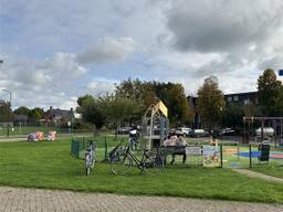 Buurt siddert onder overlast van jongeren: 'Ouders, waar zijn jullie?'