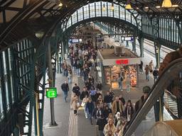 Regelmatig is het druk op het station van Den Bosch (foto: Megan Hanegraaf).