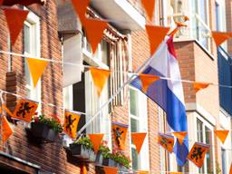 Het comité organiseerde onder meer een festival in Tilburg op Koningsdag (foto: ANP).