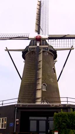 Wouw! Wat een molen