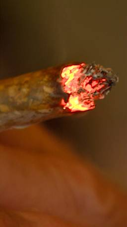 WAAR komt een coffeeshop?!