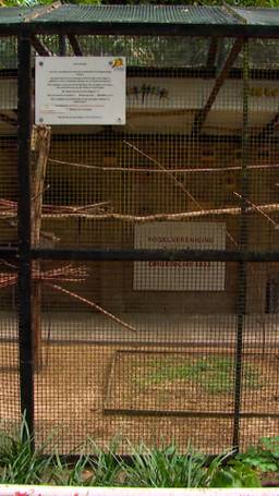Babyvogeltjes gestolen uit volière